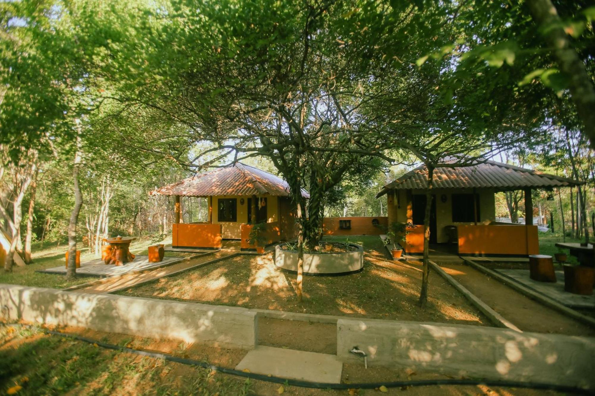 Hotel Niyagala Lodge Sigiriya Exterior foto